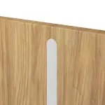 Detailansicht der vertikalen Lisene von CLASSEN Brandschutztür-Set EI30 Venom Alu M6 Hickory Eiche CPL inkl. Blockzarge