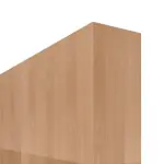 Detailansicht der stumpfen Kante von WESTAG Doppelflügel-Schiebetür Buche Blumig BU 88 PortaLit CPL mit Lichtausschnitt LA-DIN