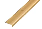 Ansicht von PROSTEP Winkelprofil Aluminium 25x10mm eloxiert Gold gebohrt 100cm - Proline