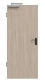 Frontbild von Graueiche ProLine Duradecor Brandschutztür - Hörmann