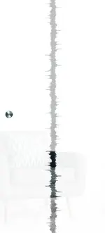 Bild von Calma Mattprint Schiebetür Ganzglas mit Motiv klar - Erkelenz