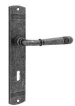 PROGRIFF Türgriff Helena Antik grau Zamak Langschild 