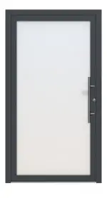 Splendoor Haustür LIGHT L1010 RAL 7016-RAL 7016 Frontansicht außen