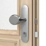 Interio Holz-Haustür Freiburg Fichte unbehandelt Detail Drücker