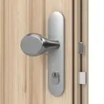 Interio Holz-Haustür Stuttgart Fichte unbehandelt Detail Drücker