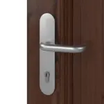 Interio Holz-Haustür Stuttgart Fichte Lasur Walnuss-Optik Tabak Detail Oberfläche