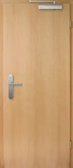 Frontansicht von Brandschutztür T-30 Typ48 Esche Living Echtholzfurnierte - Jeld-Wen