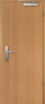 Frontansicht von Brandschutztür T-30 Typ48 Buche Living Echtholzfurnierte - Jeld-Wen