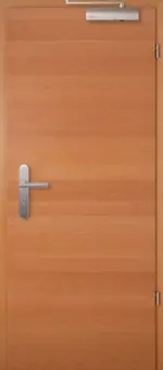 Frontansicht von Brandschutztür T-30 Typ48 Buche Quer Living Echtholzfurnierte - Jeld-Wen