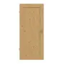 Frontansicht von Innentür TE-1 Eiche astig Massivholz