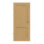 Frontansicht von Innentür TE-2 Eiche astarm Massivholz
