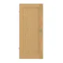 Frontansicht von Innentür TM-1 Eiche astarm Massivholz