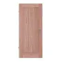 Frontansicht von Innentür TM-10 Lärche Massivholz