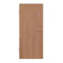 Frontansicht von HÖRMANN Schallschutztür Ami. Kirschbaum Matt Echtholzfurnier 