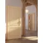 CloseUp-Milieuansicht von Typ 6002 Fichte Massivholz Innentür - Radex