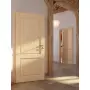 CloseUp-Milieuansicht von Typ 6002-B Fichte Massivholz Innentür - Radex