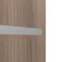 Detailansicht der horizontalen Lisene von CLASSEN Wohnungseingangstür Bord Venom Alu M1 Esche Graphit Iridium 