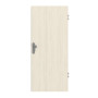 Frontansicht von Gebürstete Pinie ProLine Duradecor Wohnungseingangstür - Hörmann