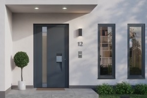 Milieu drzwi wejściowe z aluminium