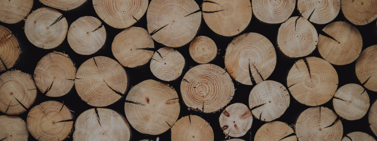 massivholztueren teaser bild