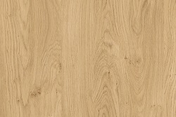 Authentic Dąb sękaty