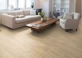 Milieu von Designböden im Wohnzimmer