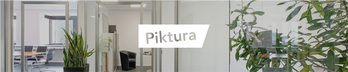 Markowe drzwi szklane Piktura, stylowe, wysokiej jakości, drzwi szklane loftowe, okucia do drzwi szklanych