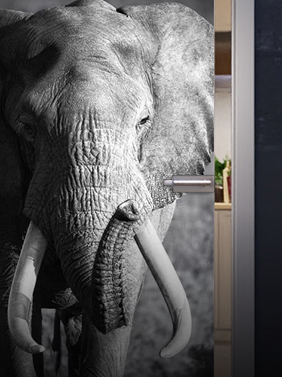 Drzwi szklane z motywem fotograficznym