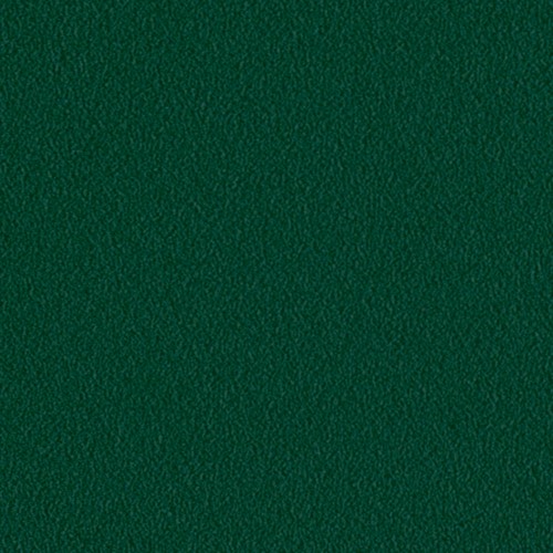 Karta kolorów RAL 6005 zielony mech